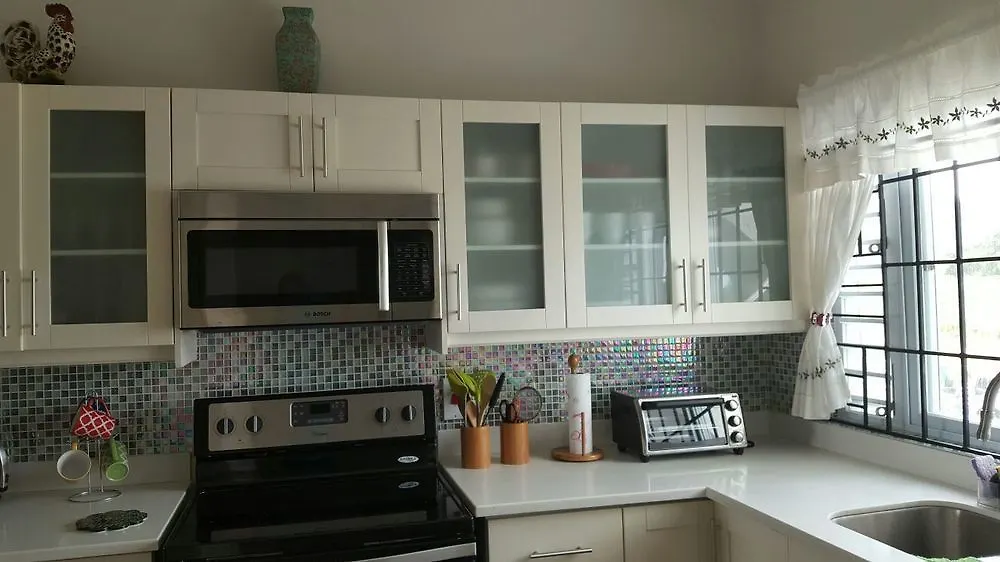 Fern Court Apartment With Oceanic View III Saint Ann's Bay
