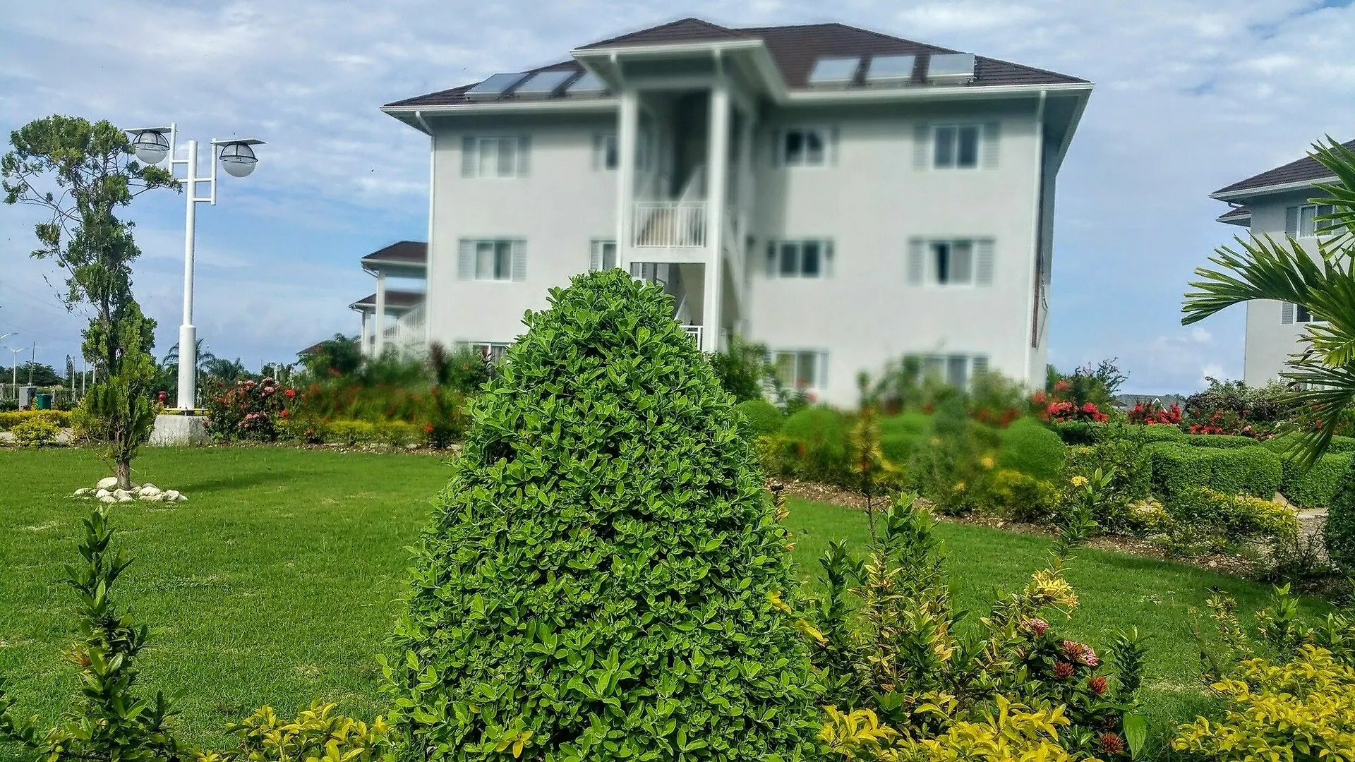 Fern Court Apartment With Oceanic View III Saint Ann's Bay Jamaica