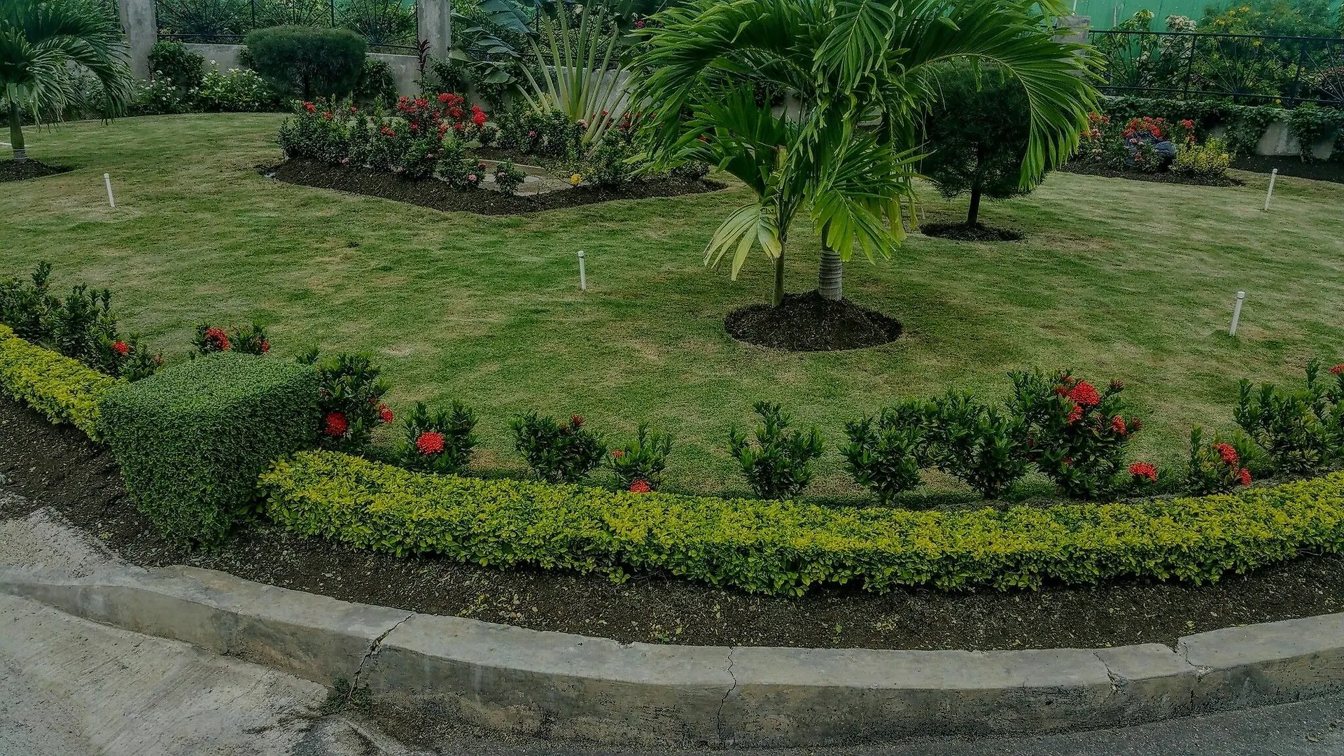 Fern Court Apartment With Oceanic View III Saint Ann's Bay 0*,  Jamaica